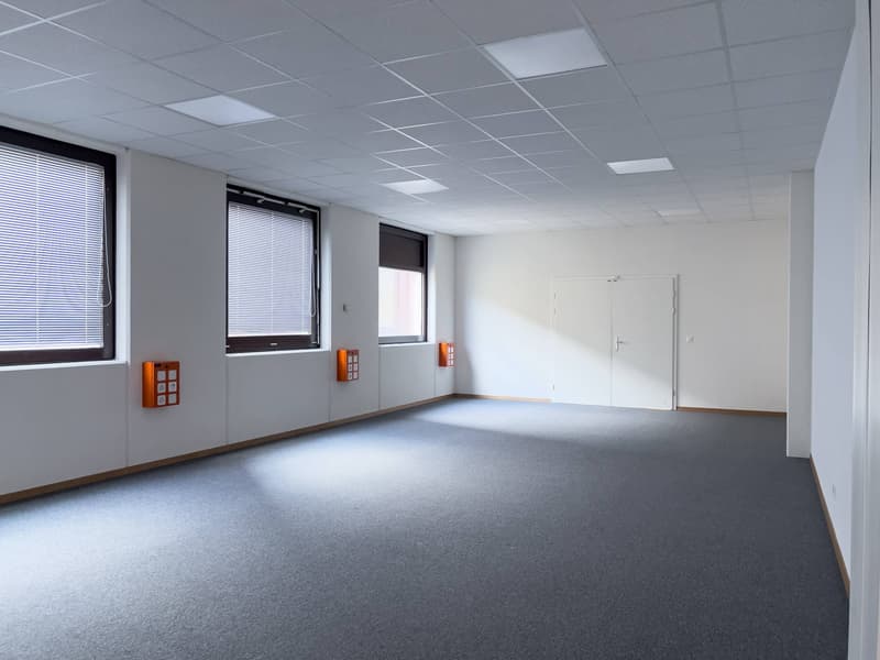 Uffici, locali amministrativi di 400m2 in affitto a Satigny (3)