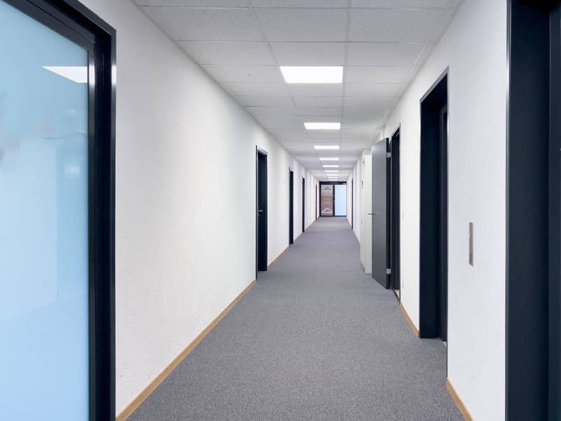 Uffici, locali amministrativi di 400m2 in affitto a Satigny (5)