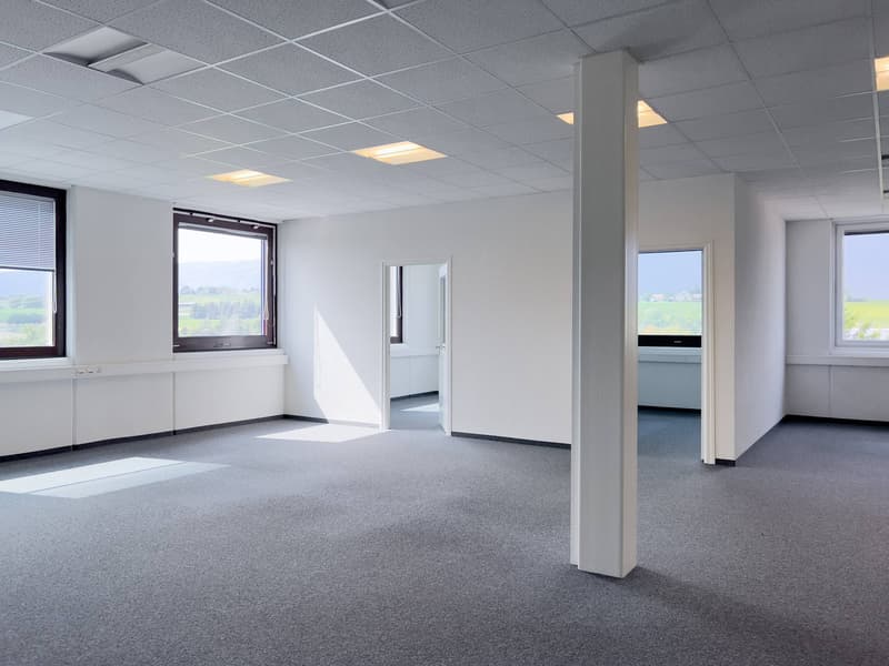 Uffici, locali amministrativi di 400m2 in affitto a Satigny (2)