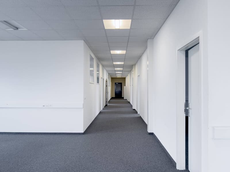 Uffici, locali amministrativi di 400m2 in affitto a Satigny (4)