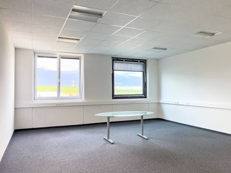 Uffici, locali amministrativi di 373 m2 in affitto a Satigny (6)