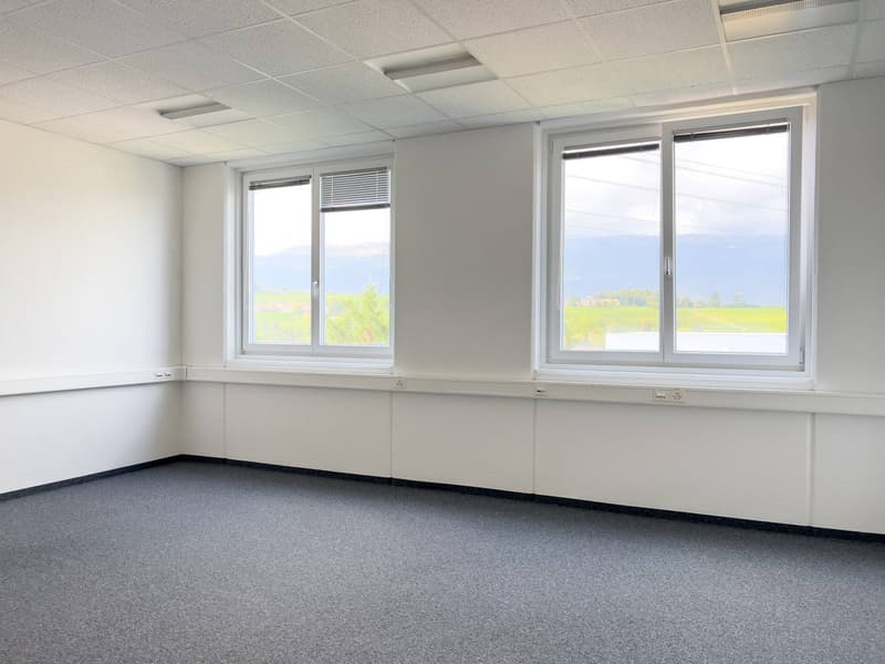 Uffici, locali amministrativi di 373 m2 in affitto a Satigny (2)