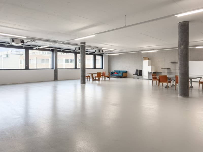 Superb workshop spaces from 150m2 for rent in Plan-les-Ouates (2)