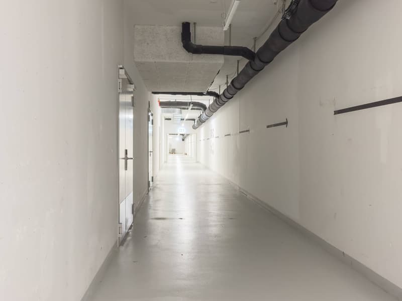 Superb workshop spaces from 150m2 for rent in Plan-les-Ouates (5)