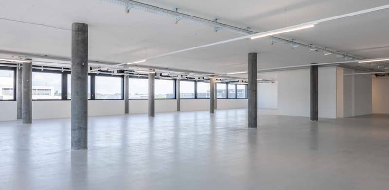 Superfici di uffici magnifiche 495m2 - Zona industriale PLO (2)