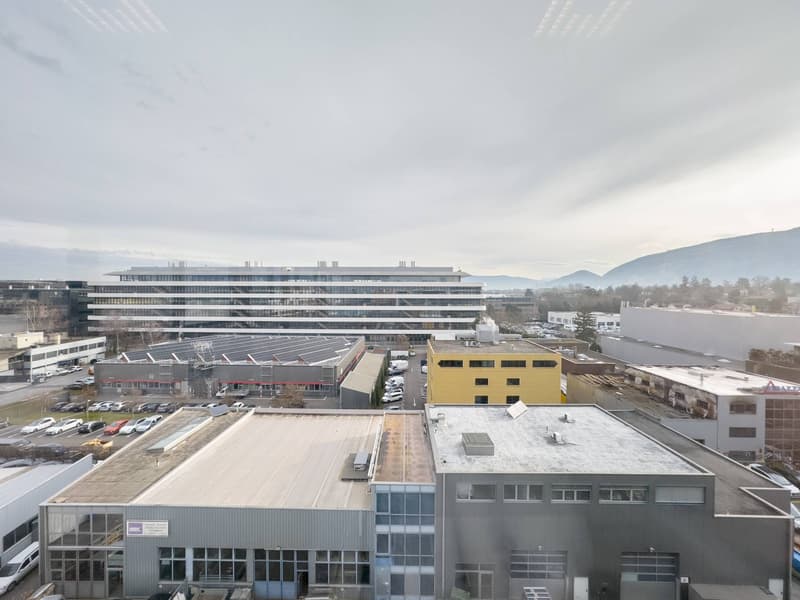 Superfici commerciali/uffici magnifiche in affitto a Plan-les-Ouates (8)