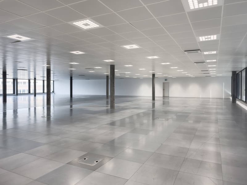 Superfici commerciali/uffici magnifiche in affitto a Plan-les-Ouates (6)