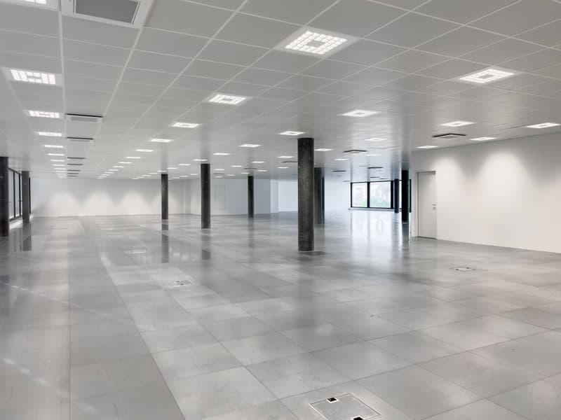 Superfici commerciali/uffici magnifiche in affitto a Plan-les-Ouates (7)