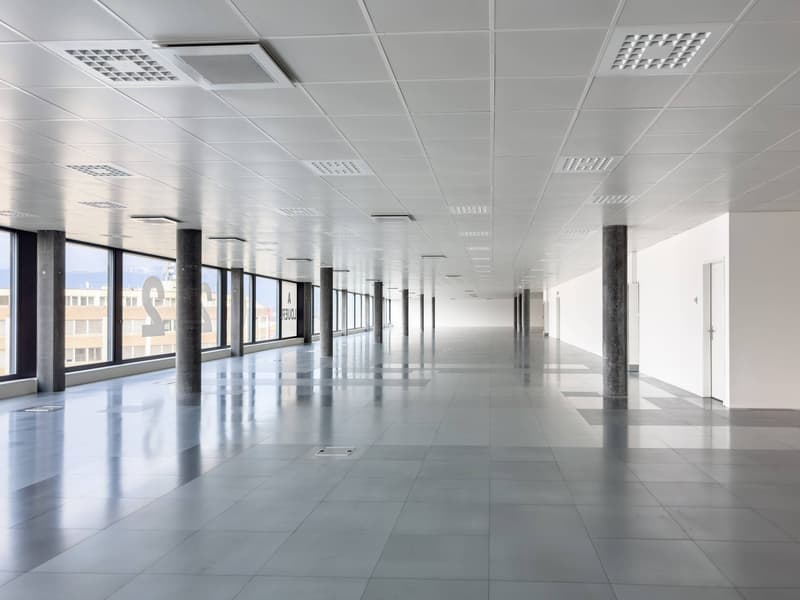 Superfici commerciali/uffici magnifiche in affitto a Plan-les-Ouates (5)