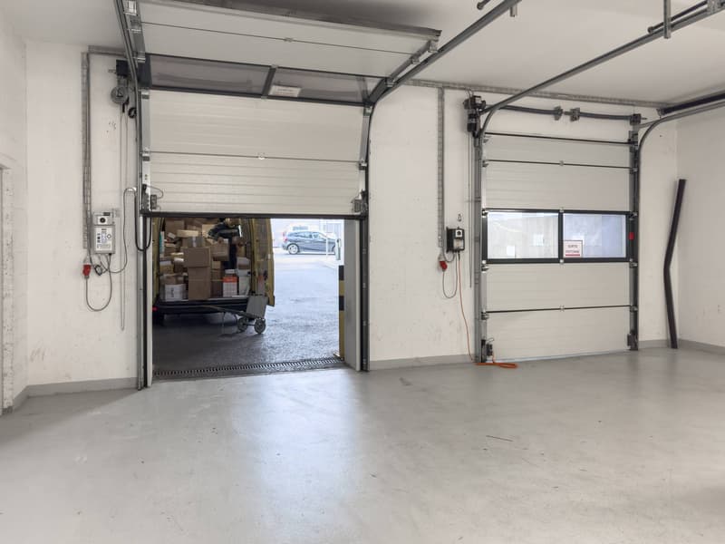 Superfici commerciali/uffici magnifiche in affitto a Plan-les-Ouates (11)