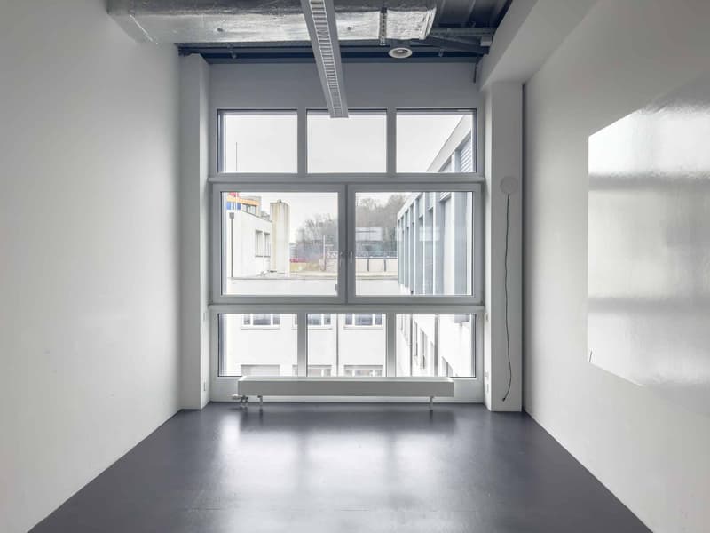 Ufficio luminoso di 174m² a Carouge (2)
