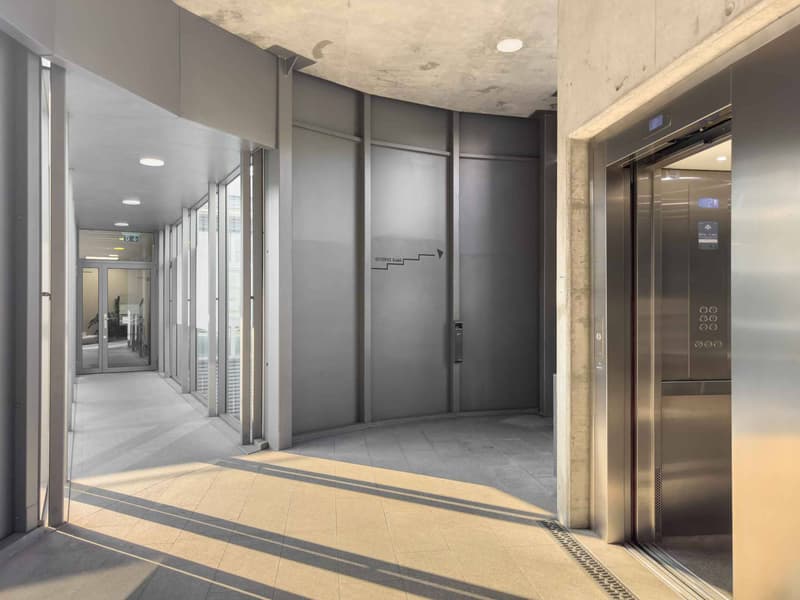 Ufficio luminoso di 174m² a Carouge (7)