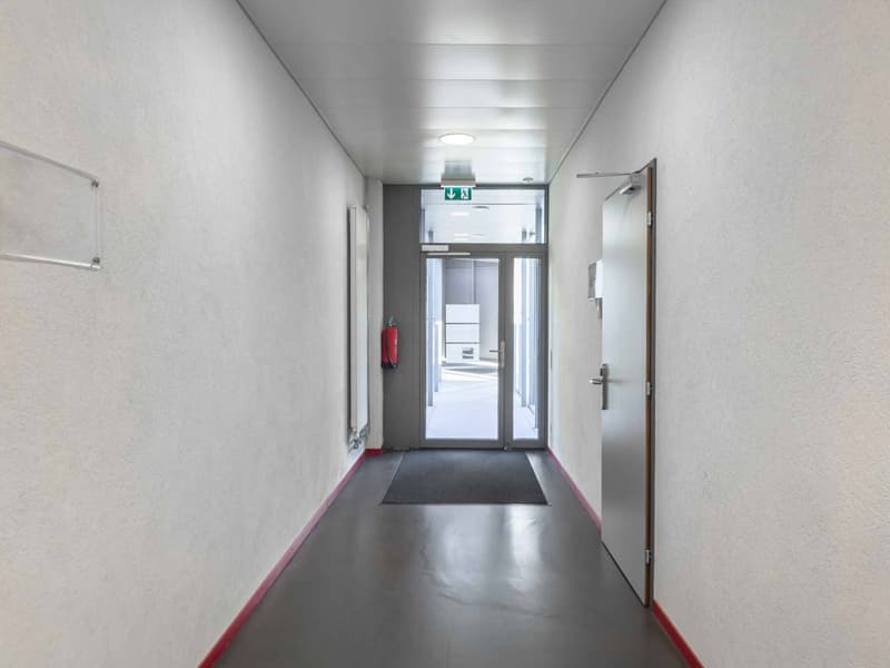 Ufficio luminoso di 174m² a Carouge (9)