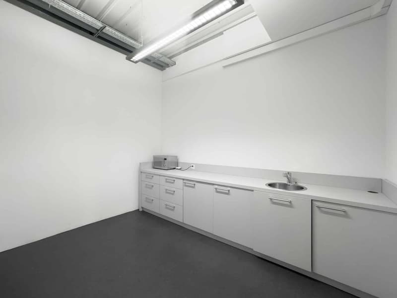 Ufficio luminoso di 174m² a Carouge (5)
