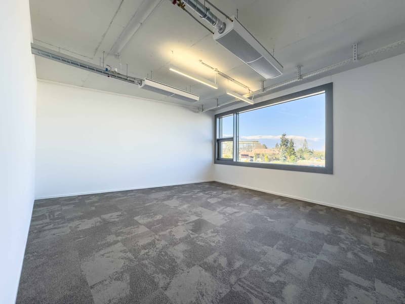 Plug & Play Office 337 m² Atrium Park, Meyrin (5)