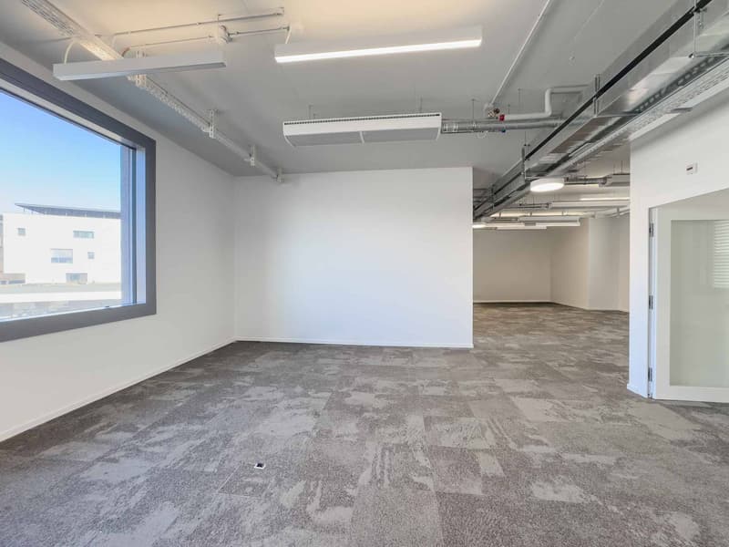 Plug & Play Office 337 m² Atrium Park, Meyrin (4)