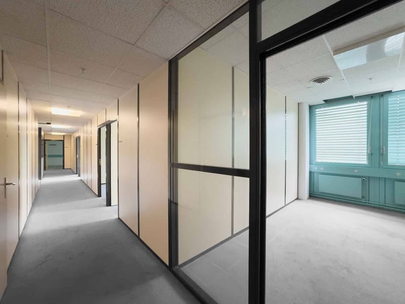 Fläche für Werkstatt oder Büro von 290 m² in Carouge (1)