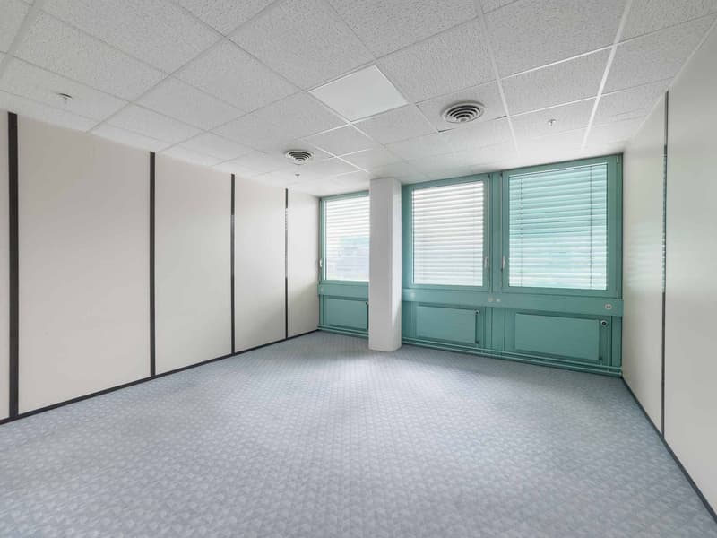 Fläche für Werkstatt oder Büro von 290 m² in Carouge (2)