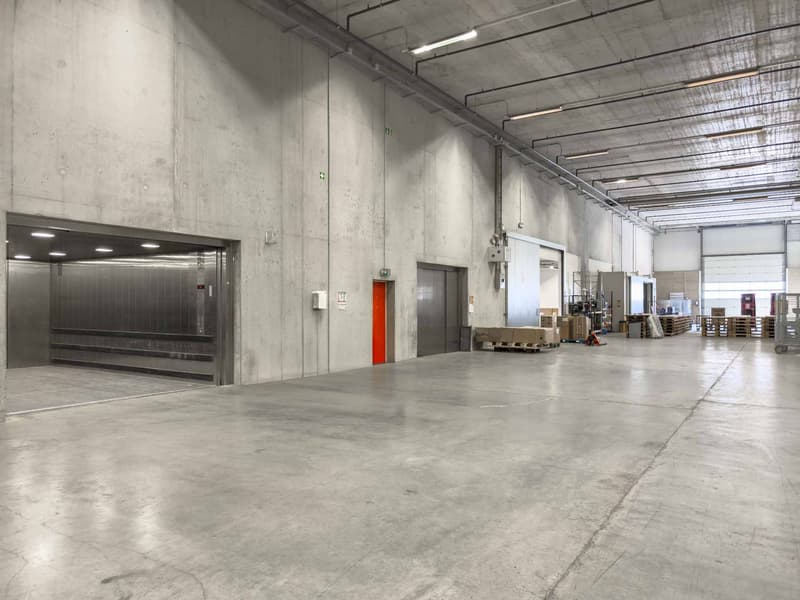 Magnifico magazzino logistico di 1'000m² con banchine di carico (3)