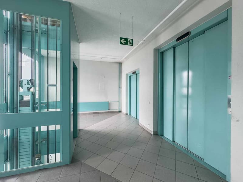 Fläche für Werkstatt oder Büro von 231 m² in Carouge (6)