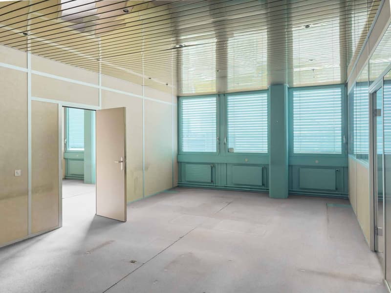 Fläche für Werkstatt oder Büro von 231 m² in Carouge (4)