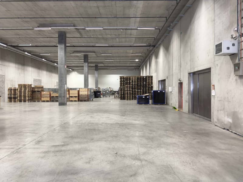 Magnifico magazzino logistico di 2'157m² con banchine di carico (3)