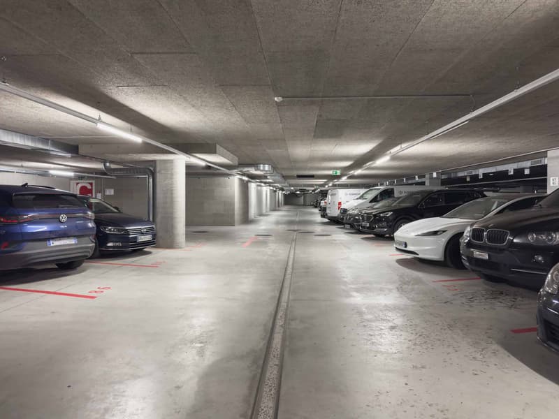 Magnifico magazzino logistico di 2'157m² con banchine di carico (10)