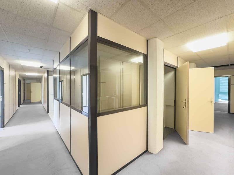 Superficie di laboratorio o ufficio di 290 m² a Carouge (3)