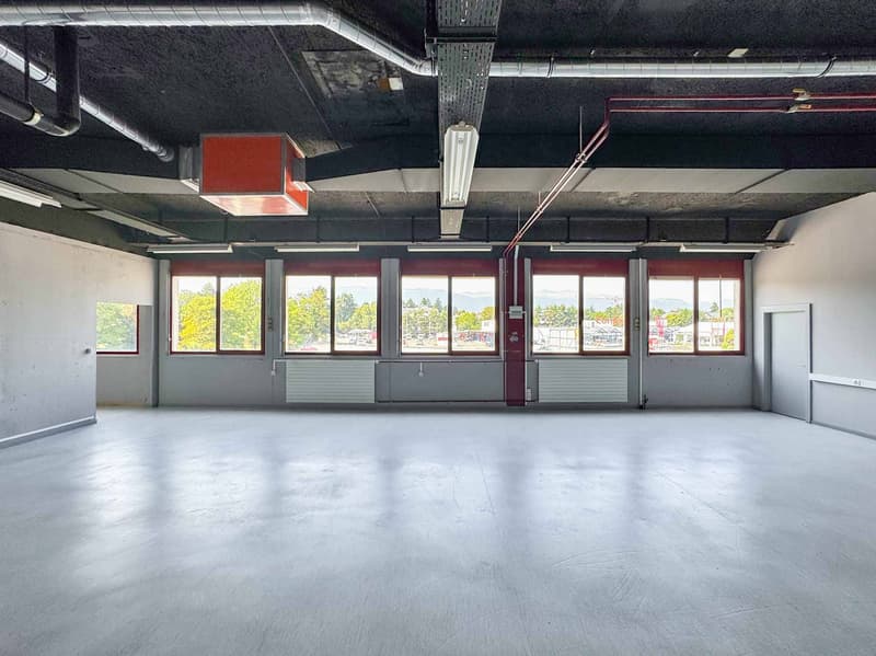 Atelier luminoso di 365 m² a Meyrin (2)