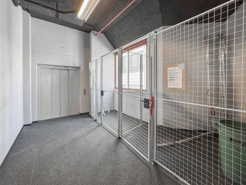 Atelier luminoso di 365 m² a Meyrin (7)