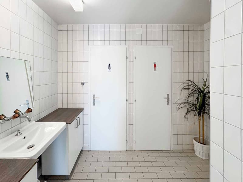 Atelier luminoso di 365 m² a Meyrin (8)