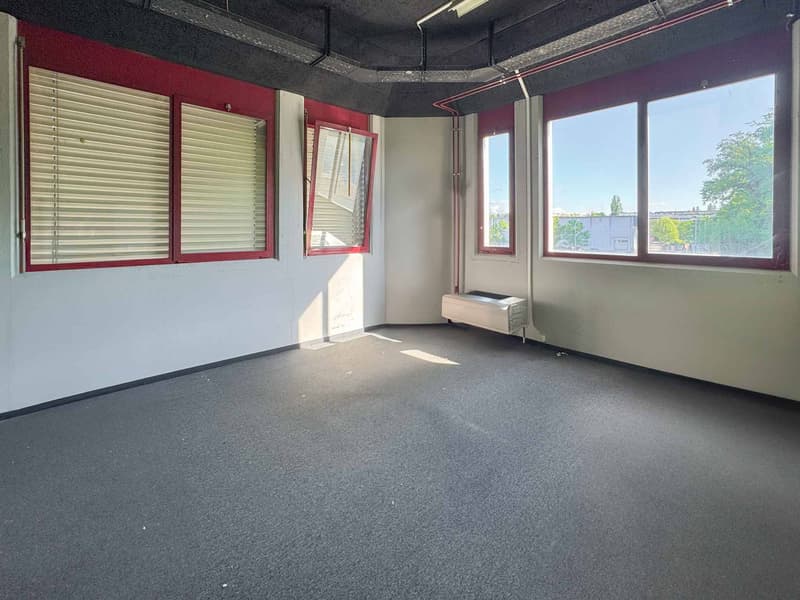 Atelier luminoso di 365 m² a Meyrin (5)
