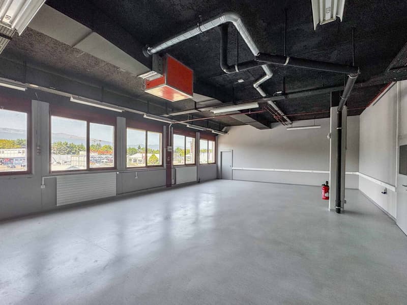 Atelier luminoso di 365 m² a Meyrin (1)