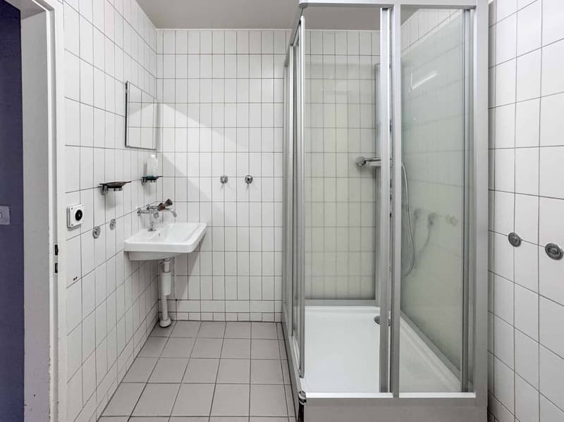 Atelier luminoso di 365 m² a Meyrin (6)