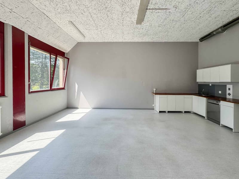 Atelier luminoso di 365 m² a Meyrin (4)