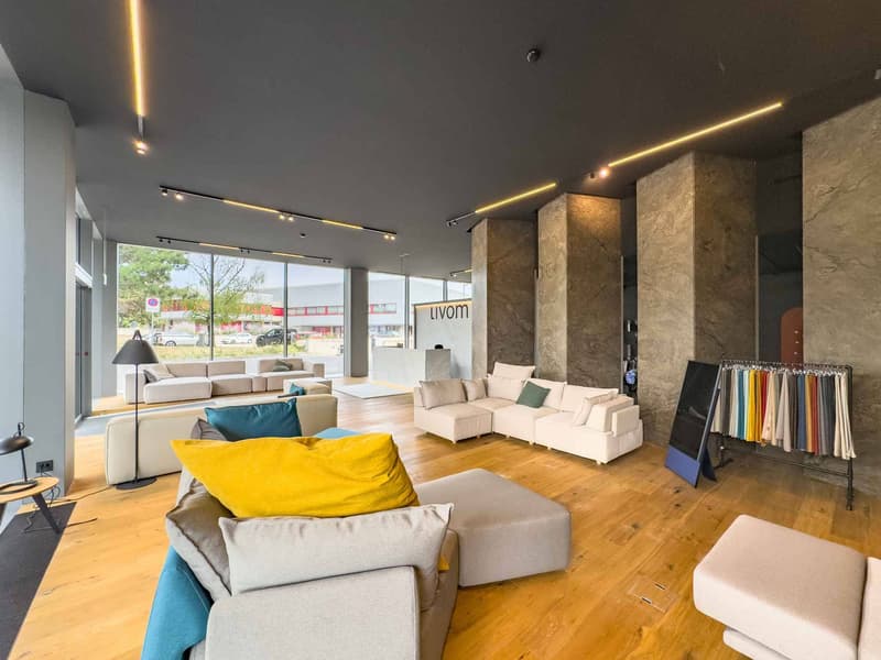 Beautiful 170 m² arcade Atrium Park, Meyrin (3)