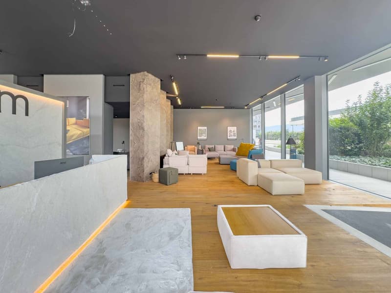 Beautiful 170 m² arcade Atrium Park, Meyrin (2)