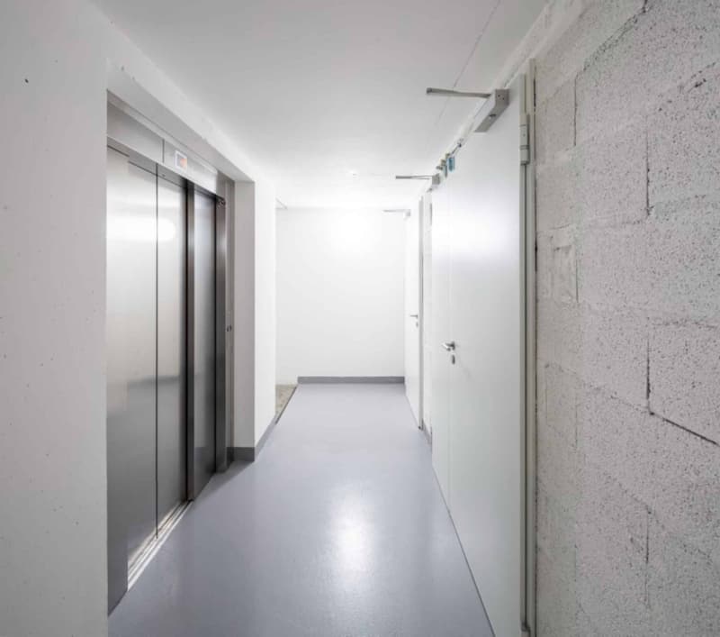 750 m² Workshop/Showroom in Meyrin (4)