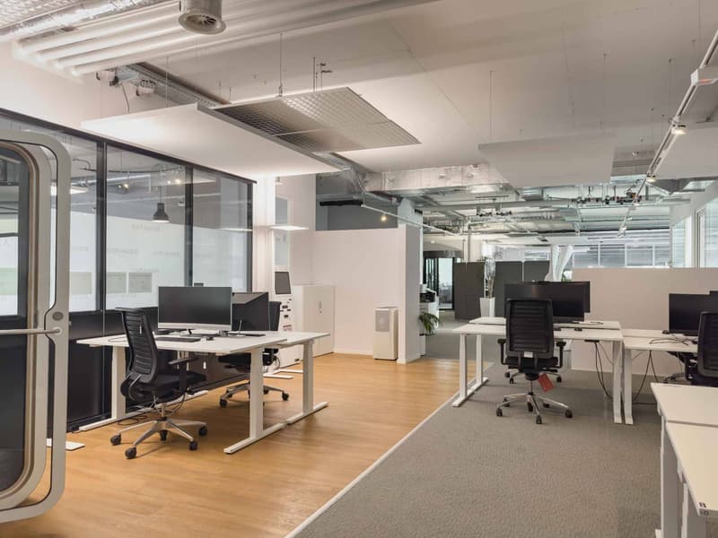 Atelier et bureaux aménagés de 150 m² Meyrin (5)