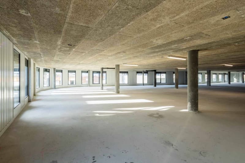 Atelier/Showroom di 350 m² a Meyrin (3)