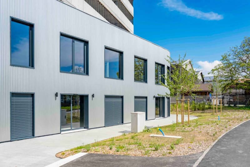Atelier/Showroom di 350 m² a Meyrin (5)
