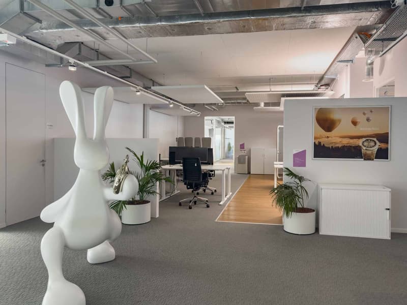 732 m² of workshops and offices in Meyrin (7)