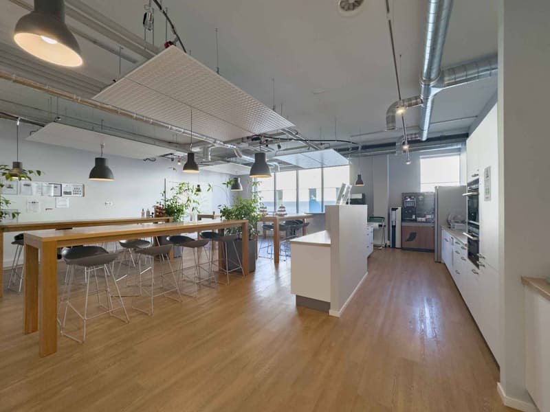 350 m² of workshops and offices in Meyrin (9)