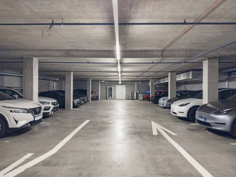 Offices of 150 m² in Meyrin (12)