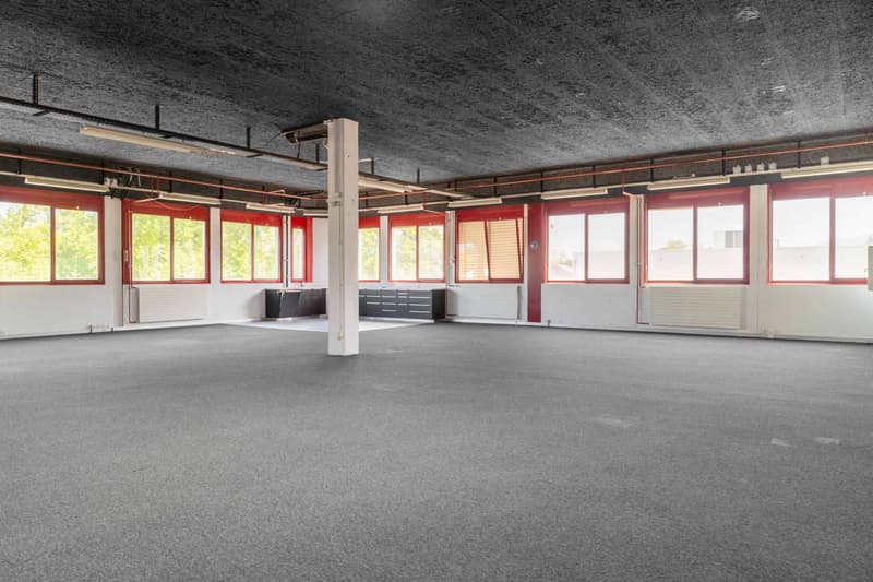 Surface polyvalente de 205m² à Meyrin (2)