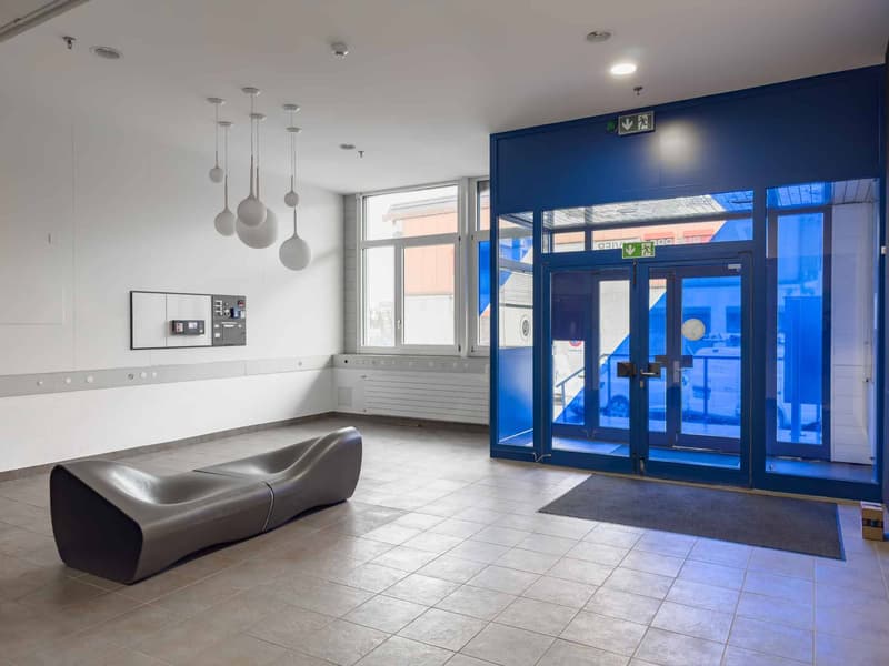 Bureaux lumineux et semi-aménagés à Meyrin (5)