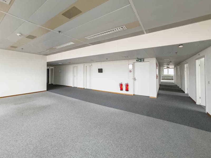 Bureaux lumineux et semi-aménagés à Meyrin (3)
