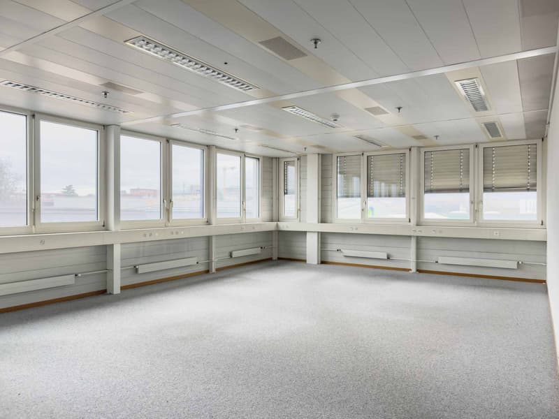 Bureaux lumineux et semi-aménagés à Meyrin (1)