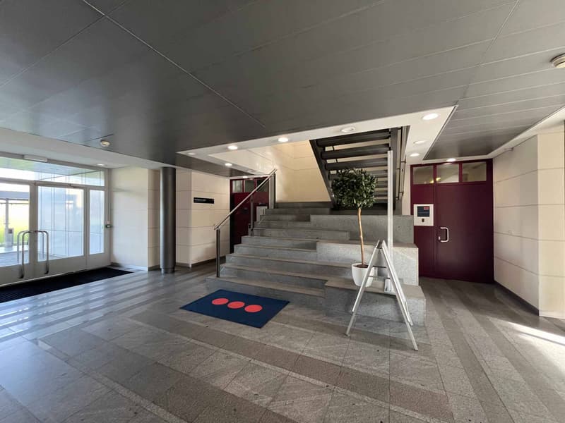 Bright 273m2 offices near the airport and Place des Nations (4)