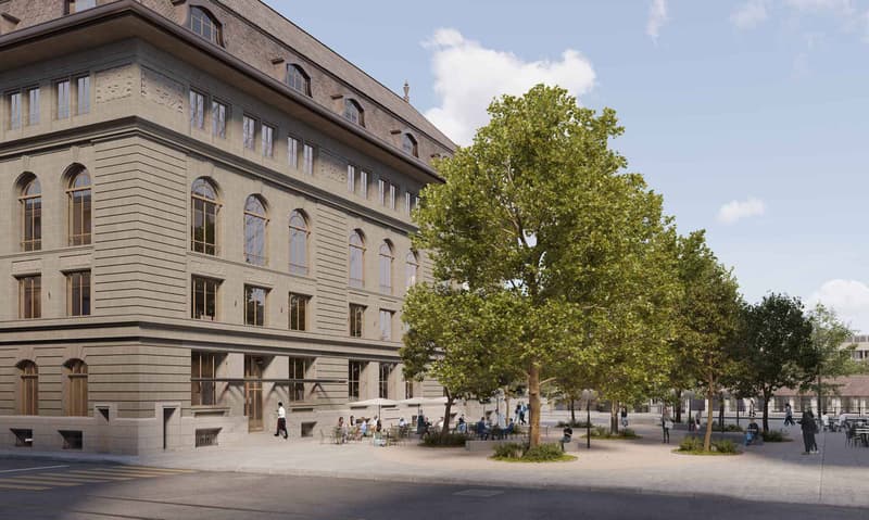 Prächtige Fläche im Stadtzentrum (1)